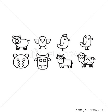 Domestic animals cow, pig, bull, sheep and bird chicken, chicken, rooster, duck 49872848