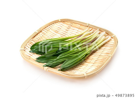 ギョウジャニンニク 49873895