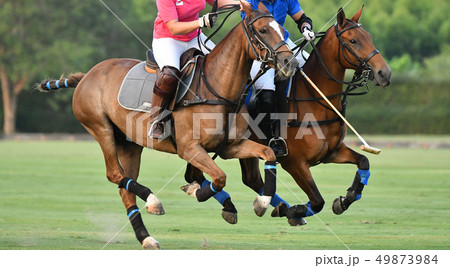Horse polo running in match. Horse polo running in match. 49873984