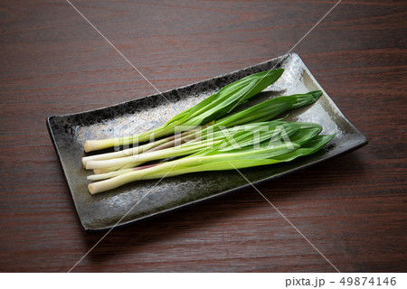 ギョウジャニンニク ギョウジャニンニク 49874146