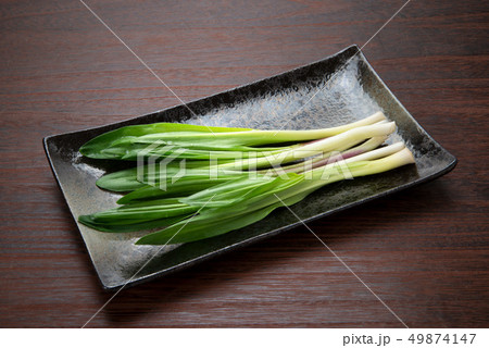 ギョウジャニンニク ギョウジャニンニク 49874147