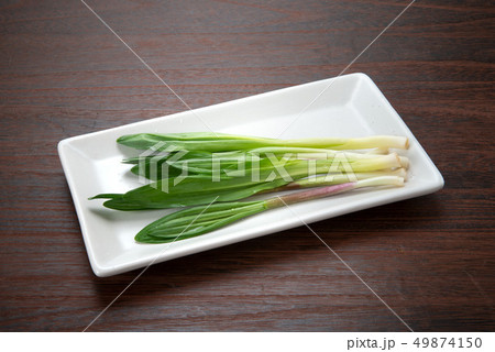 ギョウジャニンニク ギョウジャニンニク 49874150