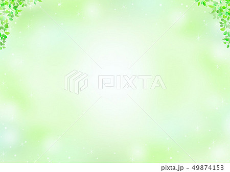 グリーン 木漏れ日 背景 グリーン 木漏れ日 背景 49874153