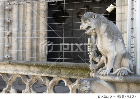 Notre dame paris cathedral statue sculpture and 49874307