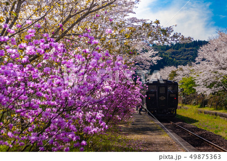 春の嘉例川駅_鹿児島 49875363