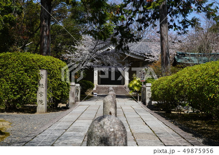 京都の風景 49875956
