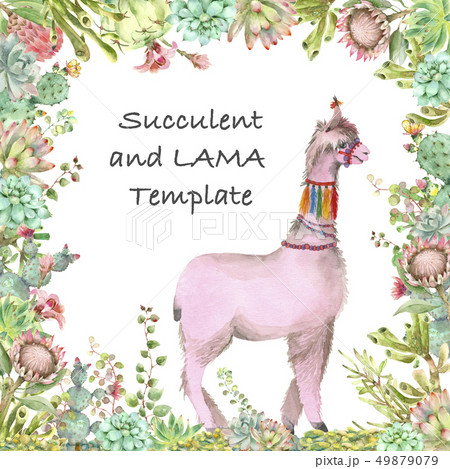 Desert Alpaca template watercolor Desert Alpaca template watercolor 49879079