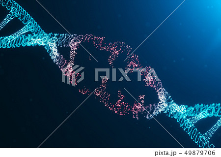 3D illustration Virus DNA molecule, structure. Concept destroyed code human genome. Damage DNA 3D illustration Virus DNA molecule, structure. Concept destroyed code human genome. Damage DNA 49879706