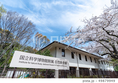 国立科学博物館付属自然教育園 東京都港区白金台 国立科学博物館付属自然教育園 東京都港区白金台 49879949
