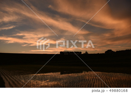 北杜市小淵沢町、夕焼け空と小海線を行くシルエットの列車が写り込む田植えが済んだ田んぼ 北杜市小淵沢町、夕焼け空と小海線を行くシルエットの列車が写り込む田植えが済んだ田んぼ 49880168