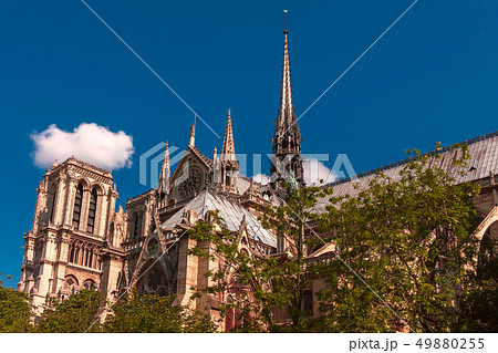 Spire of Cathedral of Notre Dame de Paris, France 49880255