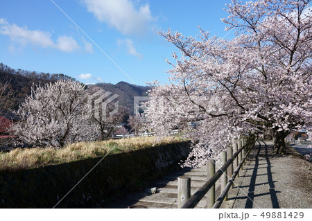 倉科ふれあい公園：春　　千曲市倉科 49881429