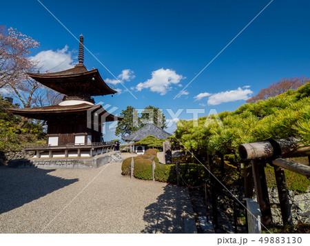 桜が満開の善峯寺 49883130