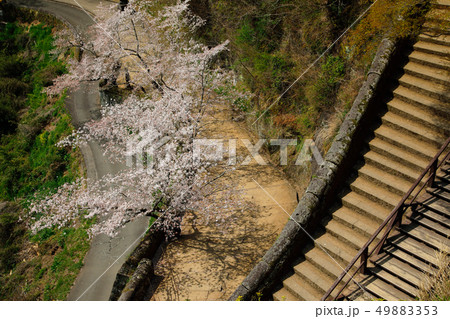 竹田市 春 桜咲く岡城址 竹田市 春 桜咲く岡城址 49883353