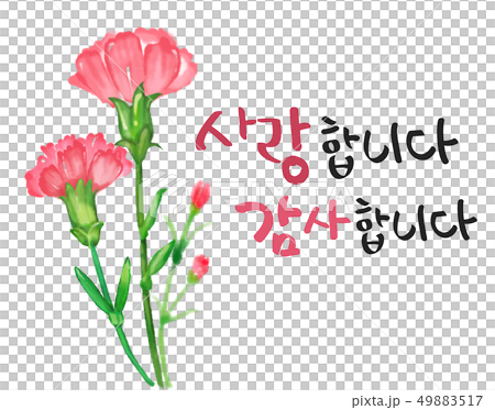 Carnation image.- Calligraphy - Stock Illustration [49883517] - PIXTA