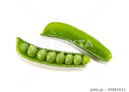 グリンピース 49883631