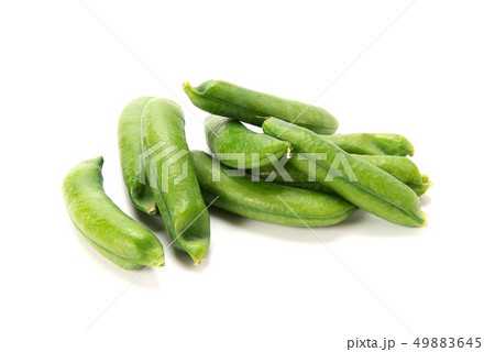 グリンピース グリンピース 49883645