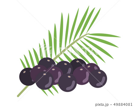 アサイー 49884081