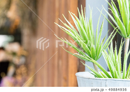 植物 工場 プランツ 49884936