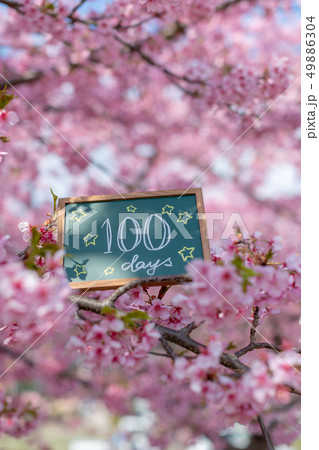 桜の中のプレート 生後100日の百日祝い 桜の中のプレート 生後100日の百日祝い 49886304