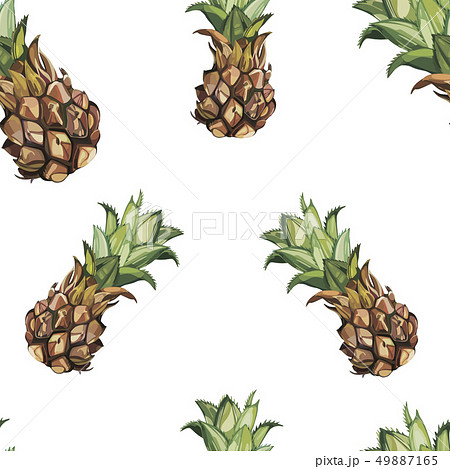 Seamless pattern with tropical Ananas. Element for design of invitations, movie posters, fabrics and 49887165