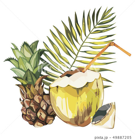 Coconut hand drawn sketch with Pineapple fruit. Watercolor tropical food illustration. Isolated on Coconut hand drawn sketch with Pineapple fruit. Watercolor tropical food illustration. Isolated on 49887205