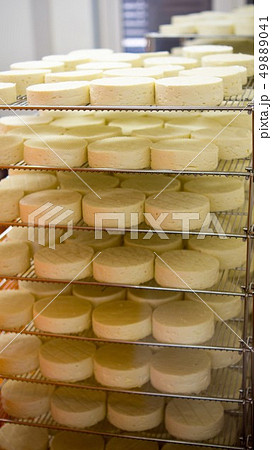 チーズ工房 チーズ工房 49889041