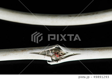 Damaged of white wire cable Damaged of white wire cable 49891293
