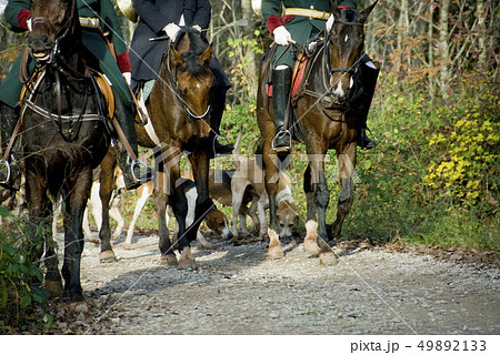 riders and dogs riders and dogs 49892133