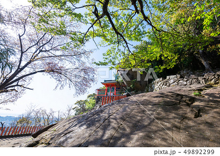 春の神倉神社 49892299