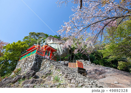 春の神倉神社 49892328
