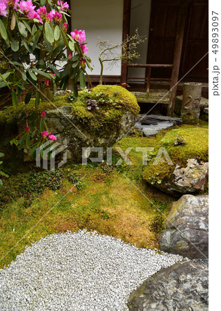 阿弥陀寺庭園 阿弥陀寺庭園 49893097