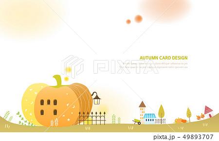 カボチャ ズッキーニ 秋 49893707