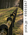Moss coverd fence Nature Park Green Closs-Up 49893847