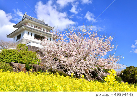 竹崎城址の桜 竹崎城址の桜 49894448