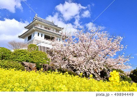 竹崎城址の桜 竹崎城址の桜 49894449