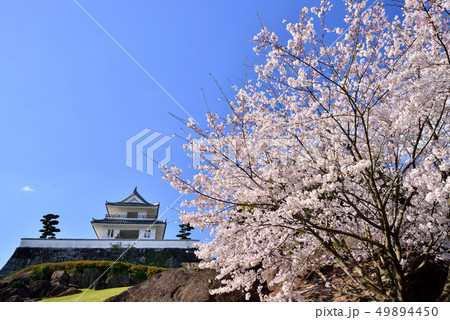 竹崎城址の桜 49894450