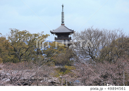 平成の大修復後の本山寺五重塔(四国霊場第70番札所) 平成の大修復後の本山寺五重塔(四国霊場第70番札所) 49894561