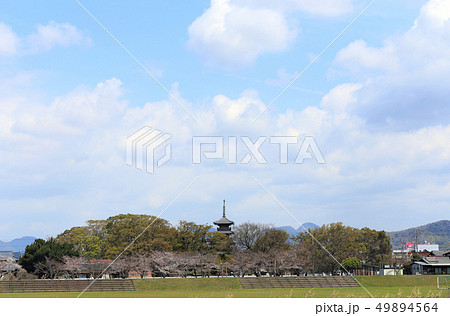 平成の大修復後の本山寺五重塔（四国霊場第70番札所） 49894564