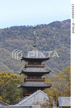 平成の大修復後の本山寺五重塔（四国霊場第70番札所） 49894567