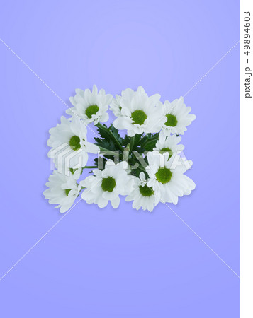 春 季節 植物 49894603