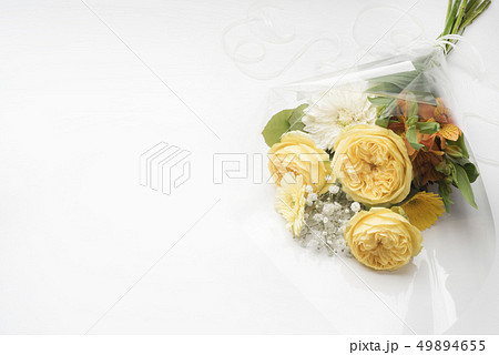 父の日の黄色い薔薇 49894655