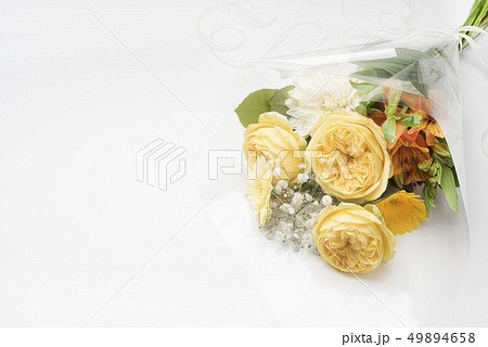 父の日の黄色い薔薇 49894658