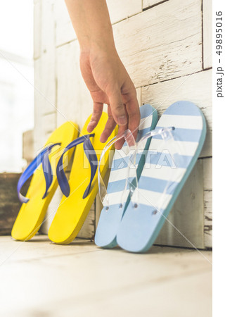 サマーバケーション 49895016