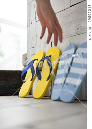 サマーバケーション 49895018