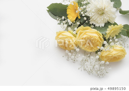 父の日の黄色い薔薇 49895150