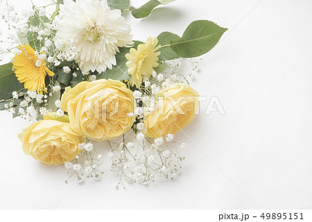父の日の黄色い薔薇 49895151