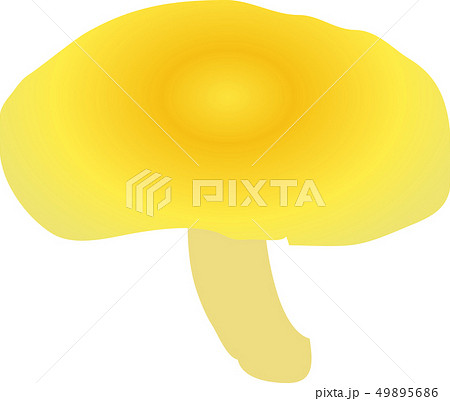 タモギ茸 タモギ茸 49895686