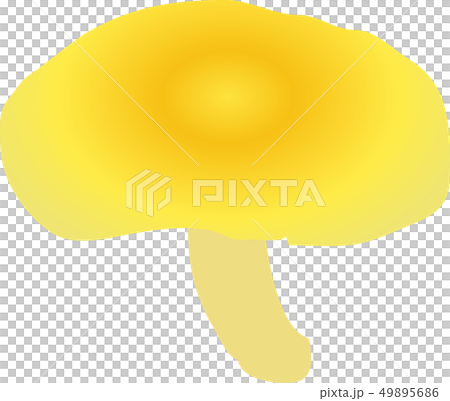 タモギ茸 タモギ茸 49895686