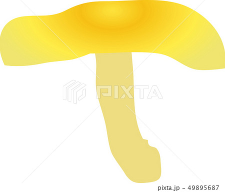 タモギ茸 49895687